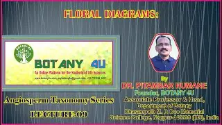 BOTANY 4U | ANGIOSPERM TAXONOMY | PITAMBAR HUMANE | LECTURE-09 | Floral Diagrams