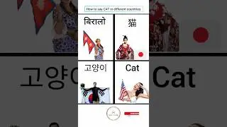 How to say cat in different countries.#japaneselanguage #koreanlanguage #vocabulary #shorts #viral