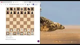 Chess Website intro