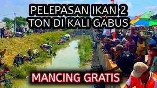 PELEPASAN IKAN 2 TON DI KALI GABUS II MANCING GRATIS DI BEKASI YANG AKAN DI HADIRI KANG DEDI MULYADI