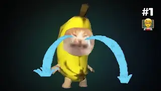 ПОДБОРКА ШКОЛЫ КАТЛАНДО №1 🐱🍌 #банановыйкот #счастливыйкот #подборка