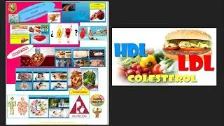 VIDEO EDUCATIVO 1 HN2DM