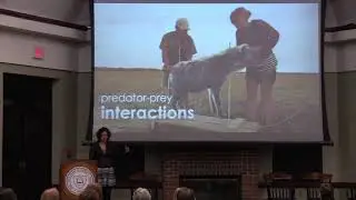 November 4, 2019: Sagan National Colloquium &ndash; Meredith Palmer &rsquo;11