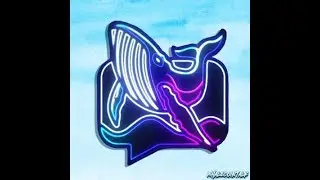 Whale Coin Talk