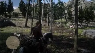 Red Dead Redemption 2 oso pardo negro