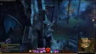 Guild Wars 2 Ruins of Rin Vista (Black Citadel)