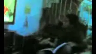 13112011
