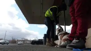 Capone: The Dogfather