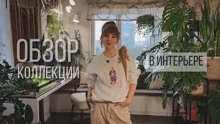ОБЗОР  МОЕЙ КОЛЛЕКЦИИ В ИНТЕРЬЕРЕ🪴#комнатныерастения #plants #растения #алоказия #монстера