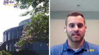Why an MBA from LSU Online