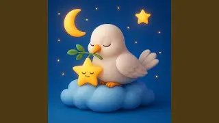 Little Star, Shine Bright