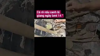 C&aacute; r&ocirc; nấu canh l&aacute; giang ng&agrave;y bmt 14&deg;c #sinhton #cắmtrại #fishing #khamphacuocsong