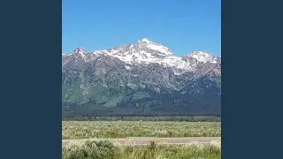 All Your'n (Cover)