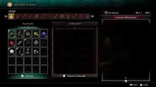 Demon Souls Enjoy my first look