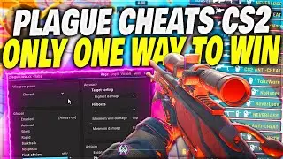This Is The PLAGE CHEATS V2 Early Access CS2 Experience.. Ft. @TabzWare