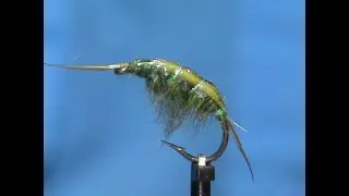 Beginner Fly Tying a Shell Back Scud with Jim Misiura