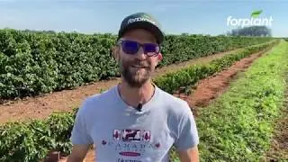 Depoimento do produtor - GUSTAVO BARACAT