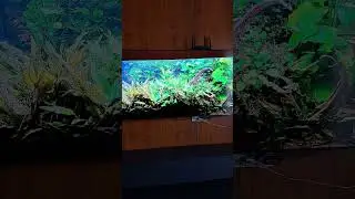 petite explication et r&eacute;ponse !