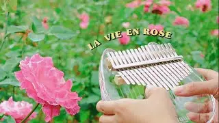 La Vie En Rose - Kalimba Cover【Easy Tabs】