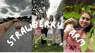 Strawberry തോട്ടം 🍓 || Strawberry Farm || Apple Tree ||