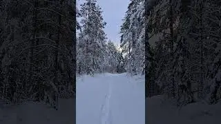 Crunchy snow ❄️ #winter #snow #sweden #nature #hiking #explore #outdoors #foryou #pov #nature