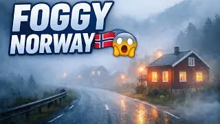 Norway Fog Morning 4K | Peaceful Village Walk You Must See