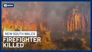 Firefighter Killed In NSW Bushfires While Trying To Protect At-Risk Community | 10 News