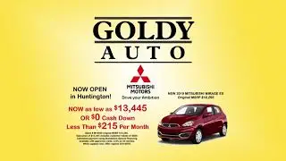 Goldy Auto GAMITSUMIRAGE319