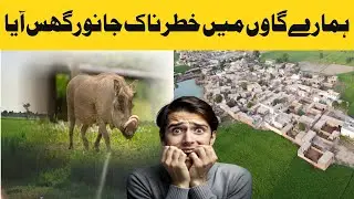 A dangerous animal entered our village  #village #new