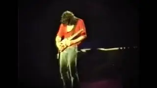 RARE #evh STEINBERGER SOLO