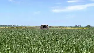 Hagie sts16 Y-Dropping corn