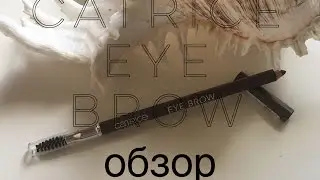 Catrice Eye Brow ОБЗОР Идеальные Брови