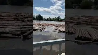 Legal Logging here in BC Canada
