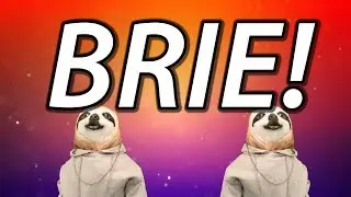 HAPPY BIRTHDAY BRIE! - SLOTH HAPPY BIRTHDAY RAP