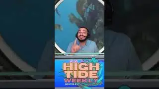 🌊 HIGH TIDE WEEKLY &mdash; OCEAN FACT