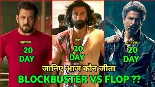 Animal Vs Jawan Vs Tiger 3 Comparison, Animal Box Office Collection, Animal 20th Day Collection