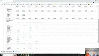 Monthly Profit and Loss reports on XERO