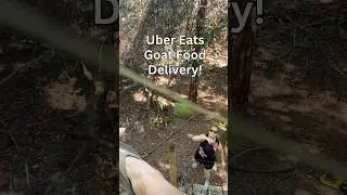 Goat Uber Eats Delivery FAILS &mdash; Stick Hits Man in Treehouse!