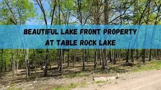 000 Cedar Island Rd, Branson West, MO 65737