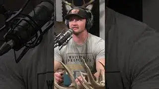 How Weather Patterns Affect Deer Movement #shorts