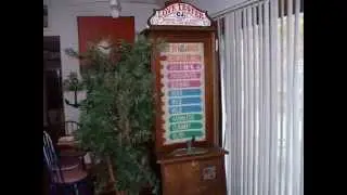 Fire Island Rental the Mermaid House.wmv
