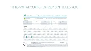 Preventicus Report Englisch