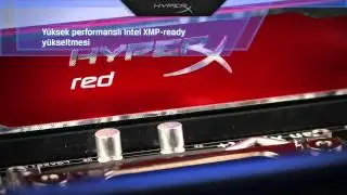 Kingston HyperX blu Ailesi Bellek