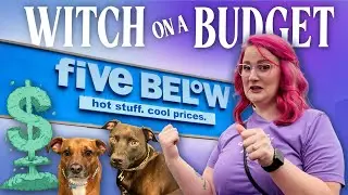 Dos & Don'ts at FIVE BELOW for Witches on a Budget