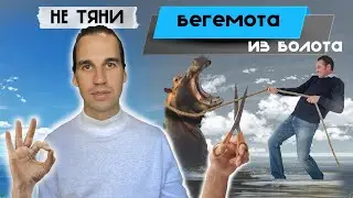 Как помогать другим и не выгореть эмоционально