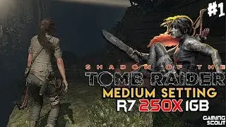 Shadow of the Tomb Raider 2018 - Game Test - R7 250X 1Gb + C2Q Q9550 (Medium Setting)