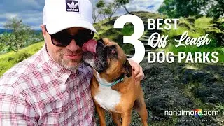 Top 3 Off Leash Dog Parks in Nanaimo BC - City of Nanaimo