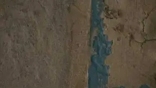 wallshot