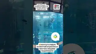 🤩консультирую клиентов в красивых местах с видами на дайверов #юристыпоймут #суд #новости #защита