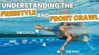 What Is The Difference Between Front Crawl And Freestyle | Orca Swim School